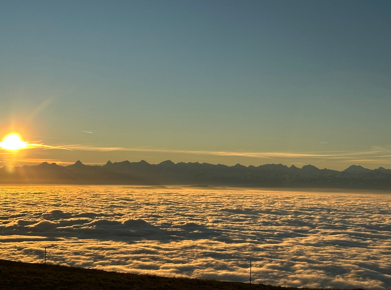 Raus an die Sonne!☀️
